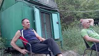 картинка: Мелитопольские голуби. Такие или не такие.