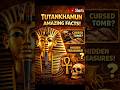 3 Shocking Facts About Tutankhamun 🤯 #didyouknow #facts #history