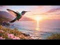 Tenerife Light — 15 Minute Island Ambient Journey | Relax &amp; Breathe #hummingbirdjourney