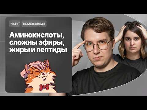 19. Аминокислоты, сложные эфиры, жиры и пептиды | Полугодовой курс | Степенин и Дацук