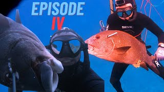 2 GIANT SWEETLIPS, GIANT TREVALLY in 1 DAY!! AMAZING SPOT! Spearfishing Mapun Episode IV