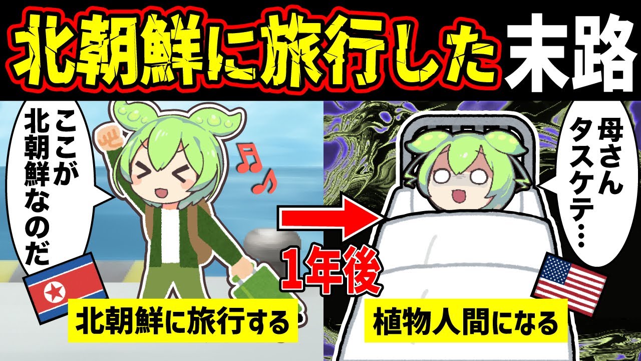 【実話】北朝鮮に旅行した男の末路【ずんだもんのXファイル】