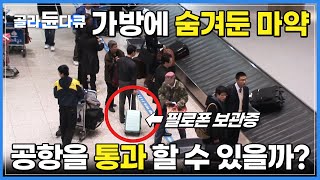 철저하게 가방 속에 숨긴 '대량의 마약' 과연 공항을 통과 할 수 있을까?│하루 500명 이상에게 이루어지는 불심검문│마약탐지견│극한직업│#골라듄다큐