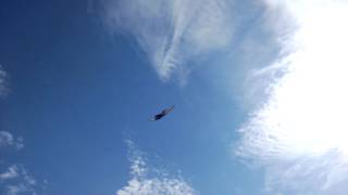 VID 20150831 1334281