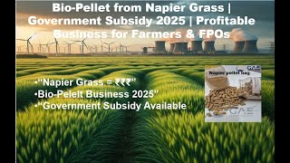Bio-Pellet from Napier Grass-Government Subsidy 2025-Profitable Business-Farmers &amp; FPOs-Dr P.C.Patel