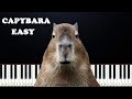 Capybara Tik Tok Song (EASY Beginner Piano Tutorial)