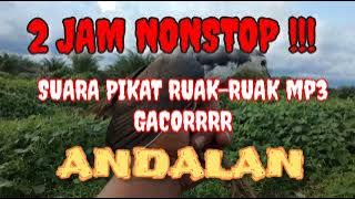 Suara Ruak Ruak Pikat Ampuh Banget | Mp3 suara pikat ruak ruak gacor #masterpikat #pikatruakruak