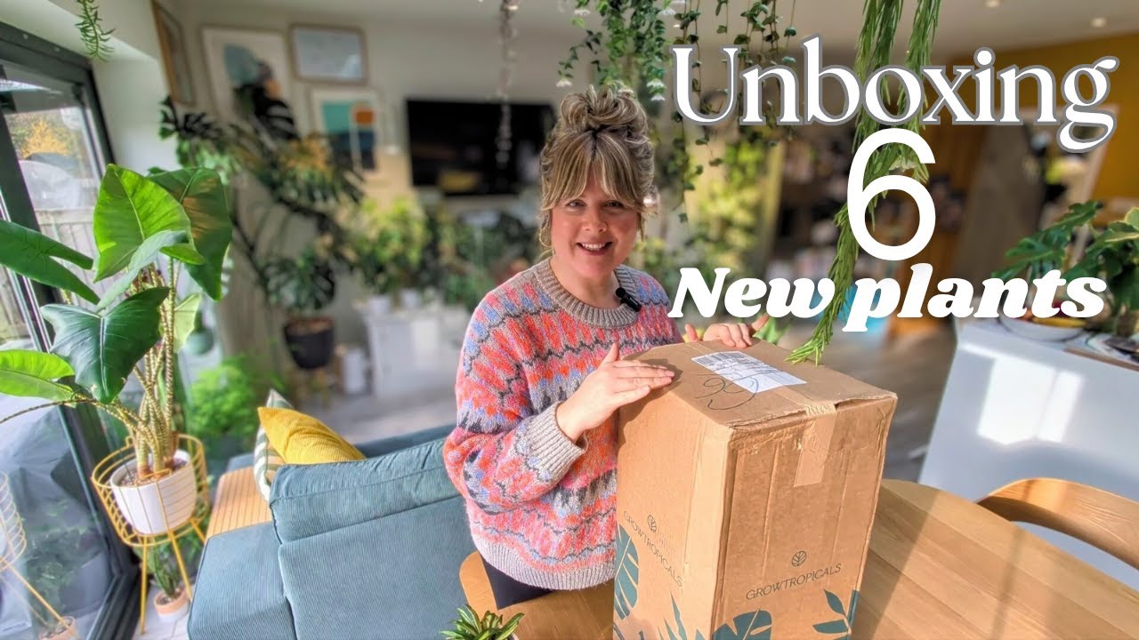🌿РАСПАКОВКА КОМНАТНЫХ РАСТЕНИЙ | Антуриум, хойя и многое другое! 🌿