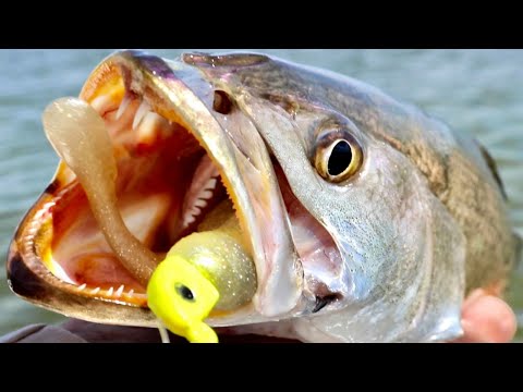 Top 3 Fishing Lures To Catch BIG Fish This Fall 