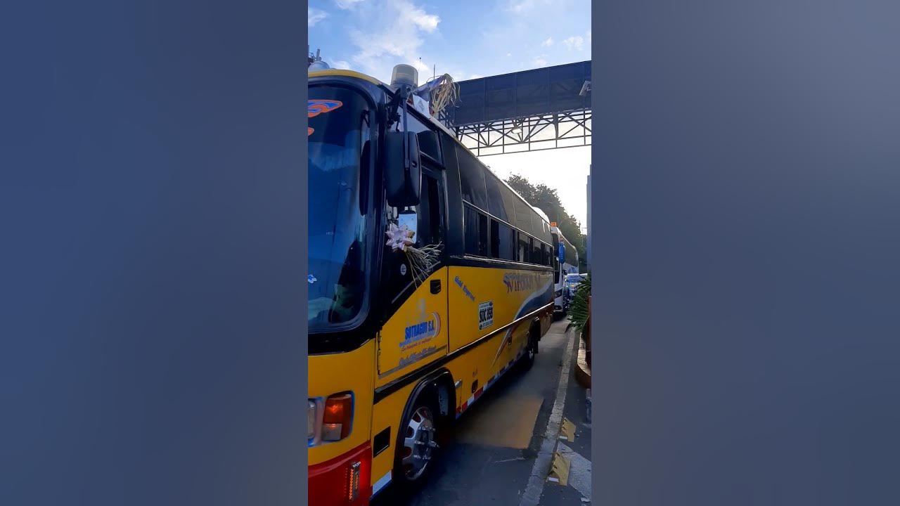 Buses colombianos busologia guarne youtube
