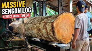 Massive Sengon Wood Logs Cut Into Long House Timber | Incredible Sawmill Process