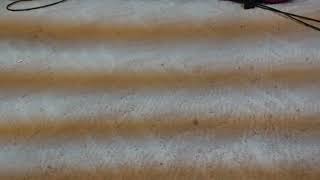 Weird Lines in a Camcorder Recording!