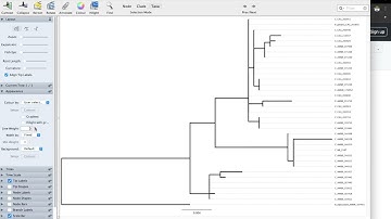FigTree Tutorial