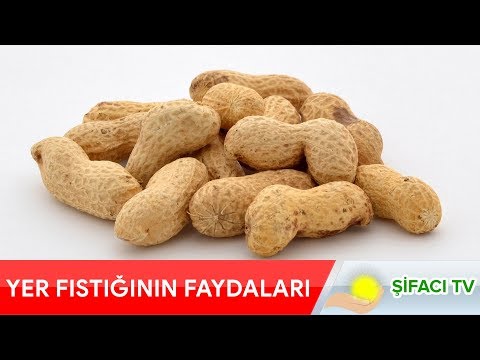 Video: Antep Fıstığı Bədən üçün Nə üçün Faydalıdır