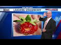 FuNkY FrUiT Laughing Strawberry