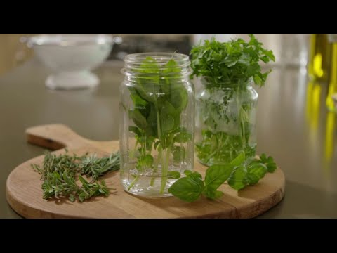 How to Keep Herbs Fresh  | An Original Knorr® Video