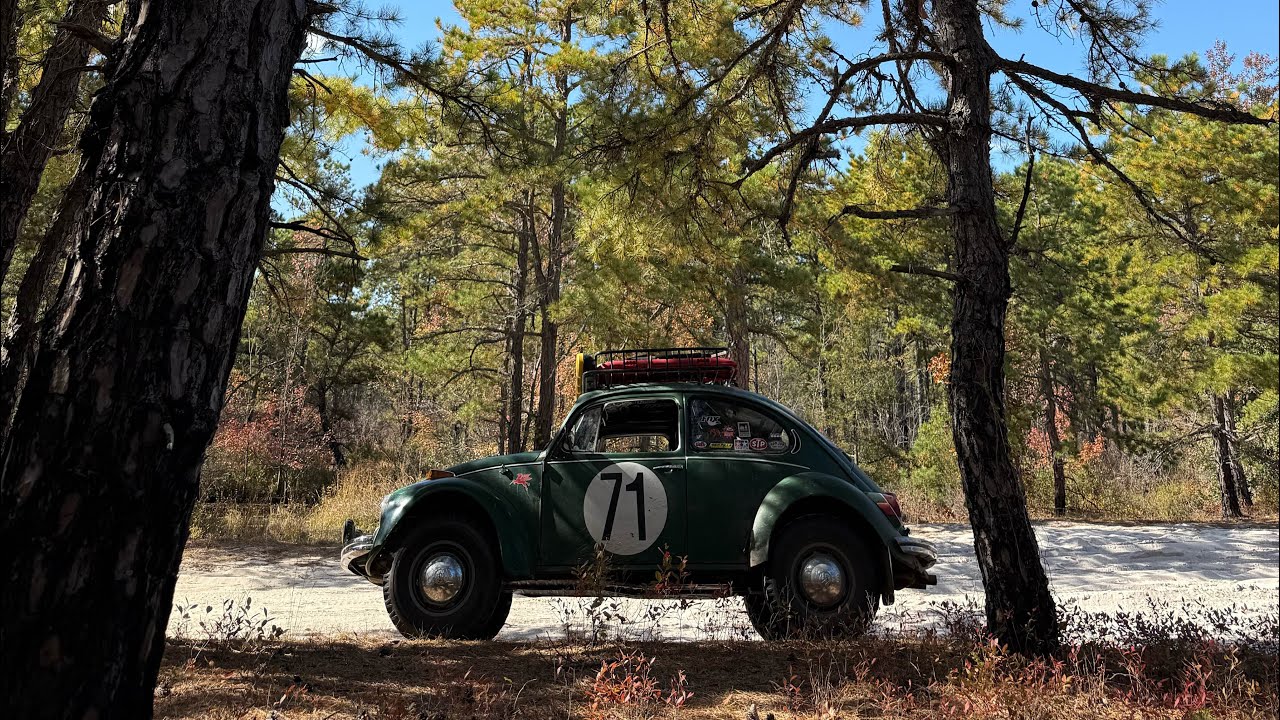 Fall Drive November 2025