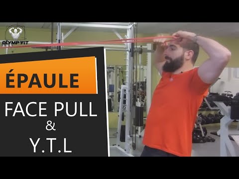 Stabilité Scapulaire : Face pull et Y.T.L deltoïde postérieur, trapèze inférieur, dentelé antérieur