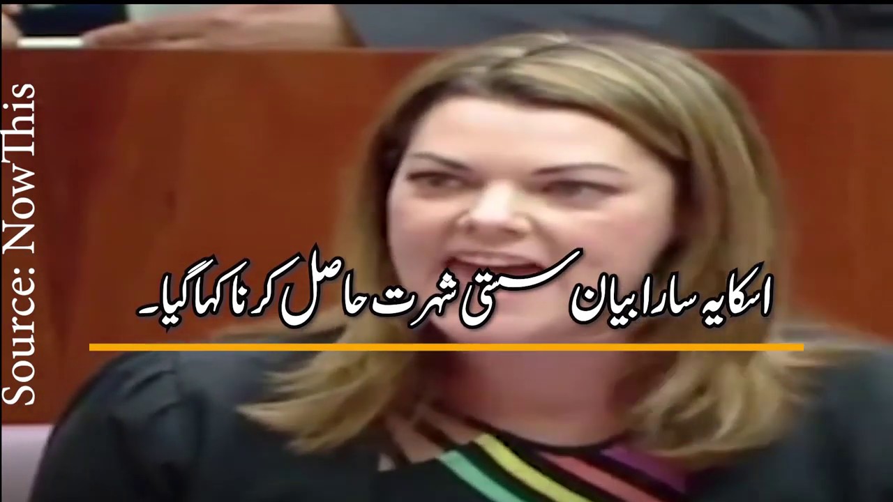 Senator Fraser Anning egged Video