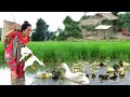 Woman runs to catch ducks and fish in a field - She cooks fish for her pets - They're happy with her