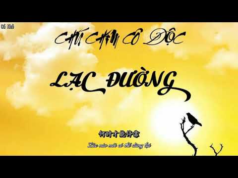 [Vietsub] Chú Chim Cô Độc Lạc Đường - Hồ Ngạn Bân ft Trương Bích Thần ||迷途的孤鸟-胡彦斌/张碧晨-天赐的声音3