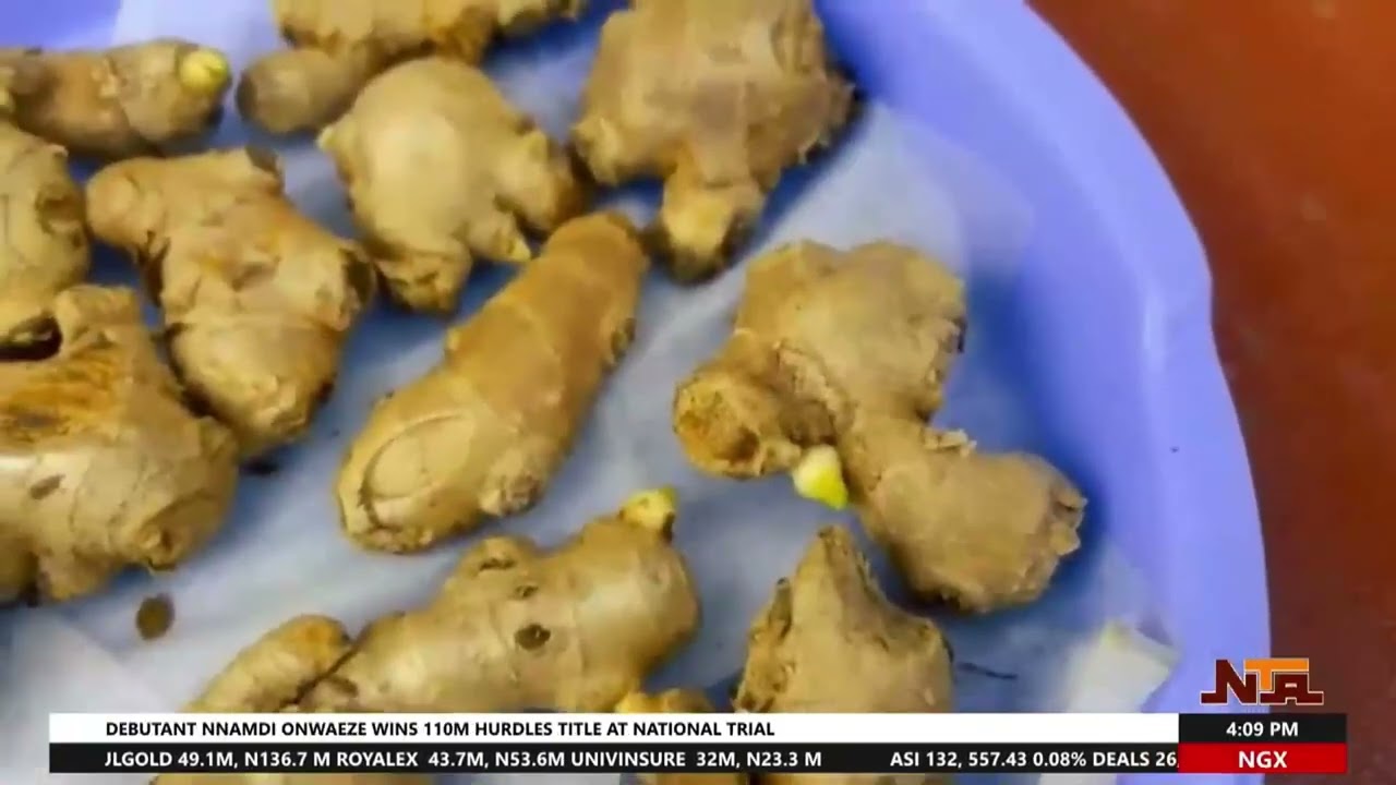 Ginger & Spice Goldmine: Investors Gather in Kaduna for Value Chain Growth