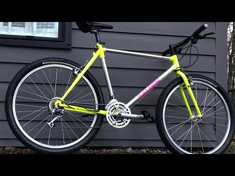 1991 Raleigh Technium Heat Slight Resto Mod Vintage MTB