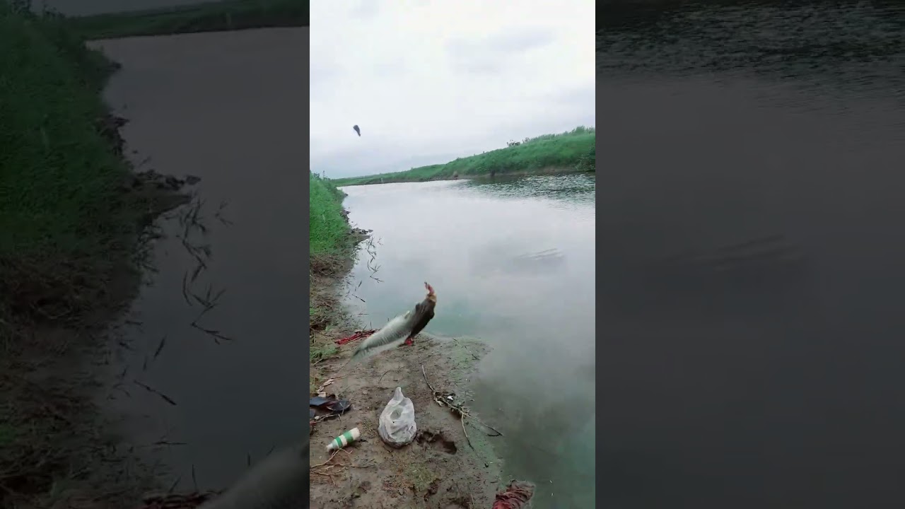 🐟 machli  pakadne ka asan tarika 