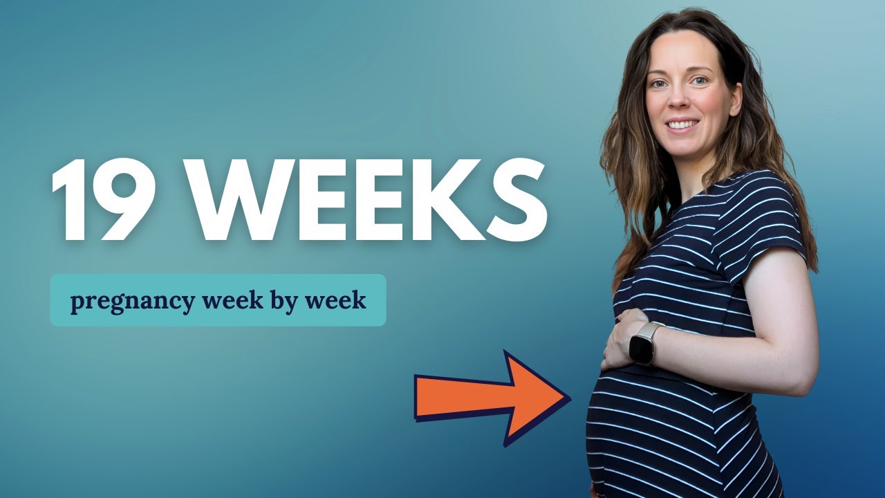 19 недель беременности 🤰 Чего ожидать: изменения для вас и движения малыша