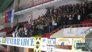 Fenerbahçe 3-0 Hapoel Mate Set 2 Tribünden Görünümler