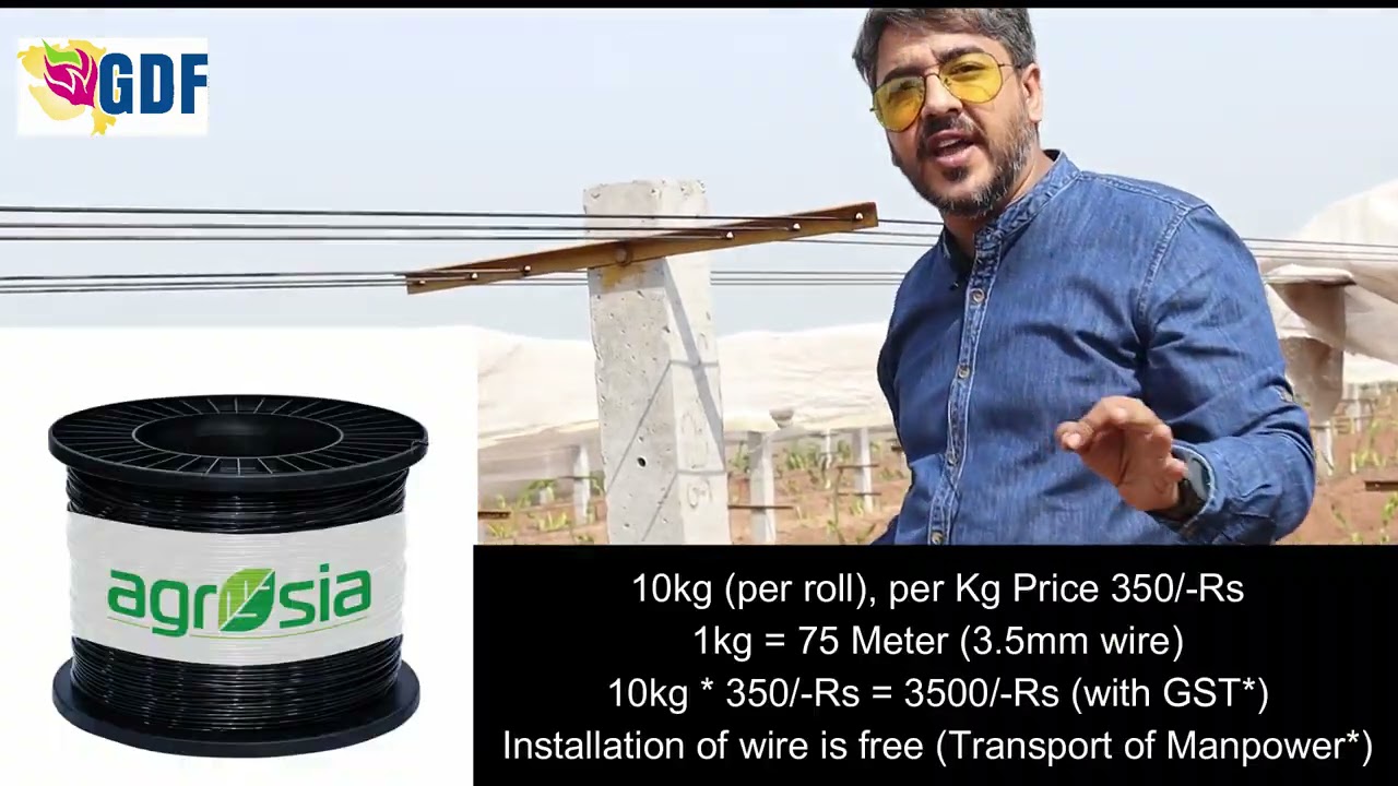 Full Video on Trellis Method of Dragon