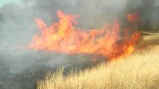 2011 Switchgrass Burn (Newbern, AL)