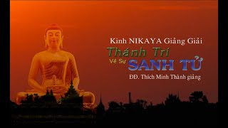 Kinh NIKAYA Giảng Giải - Thánh Trí Về Sự Sanh Tử - ĐĐ. Thích Minh Thành