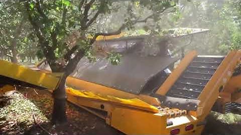 COE C7 Shaker and L2 Receiver