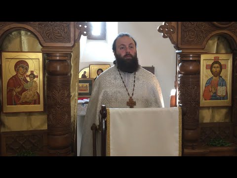 \" პეტრეს პირობის შესახებ \"