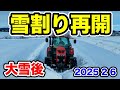 記録的大雪後に【雪割り再開】