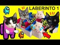 Laberinto de Among us para gatos Luna y Estrella y el hamster 1 La construcción / Videos de gatitos