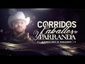 El komander  corrridos caballos y parranda lyric