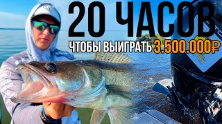 видео: 20 Часов Подготовки, чтобы Заработать 3.500.000Р На РЫБАЛКЕ! В Турнир БЕЗ Тренировок - ЭТО Возможно? картинка: 20 Часов Подготовки, чтобы Заработать 3.500.000Р На РЫБАЛКЕ! В Турнир БЕЗ Тренировок - ЭТО Возможно?