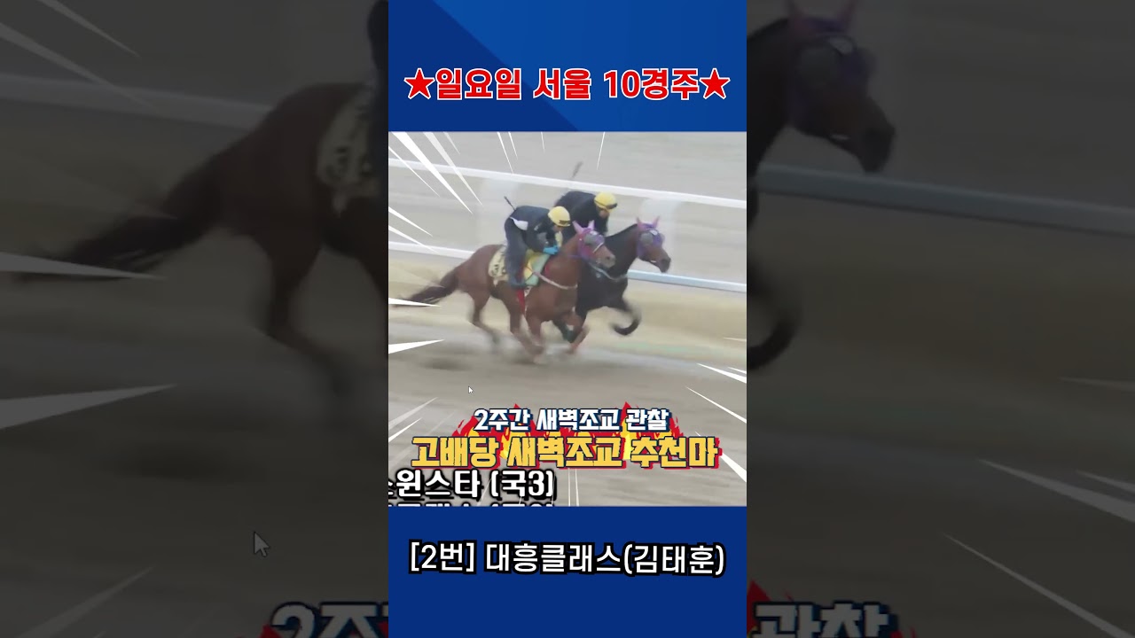 4월5일 일요일 서울 10경주!! 2주간 훈련보인 강백호의 새벽조교 쏘스마!!