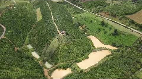 Chính chủ cần bán đất xã Ta Hine – huyện Đức Trọng – tỉnh Lâm Đồng