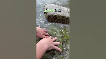 Slime Nature ASMR 