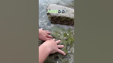 Thumbnail of Slime Nature ASMR 🌈📢