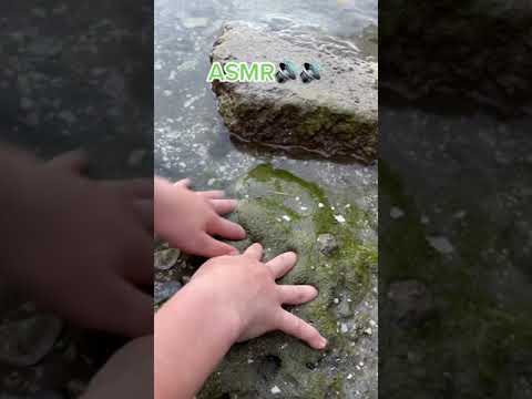 Slime Nature ASMR 🌈📢