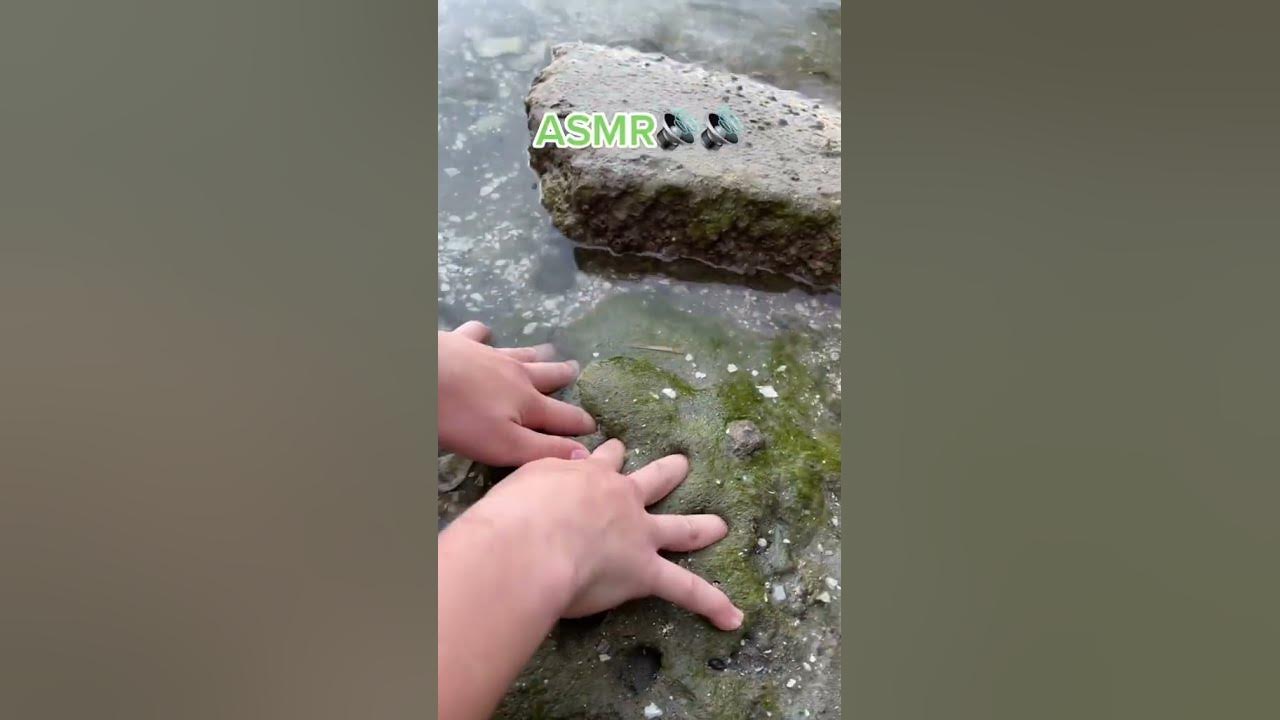 Slime Nature ASMR 🌈📢
