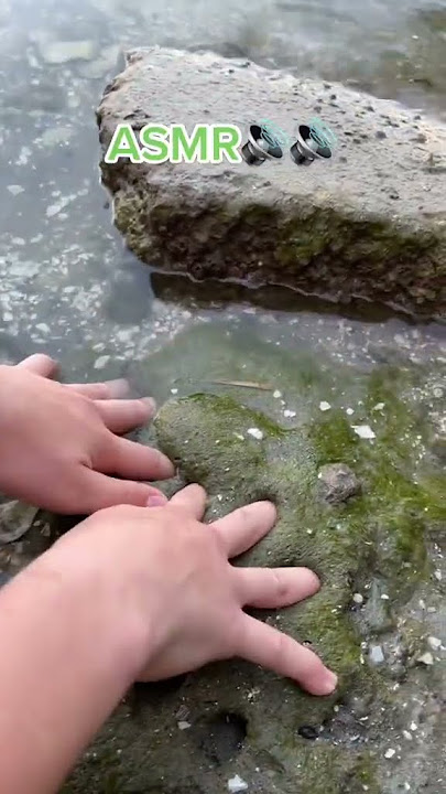 Slime Nature ASMR 🌈📢