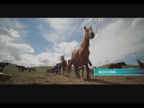 Середина земли 01.09.16