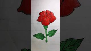 Rose ? drawing  satisfying video viral