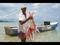 Pesca en República Dominicana