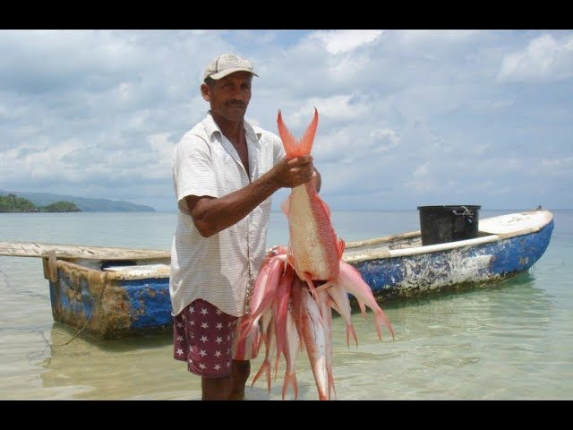 Pesca en República Dominicana 